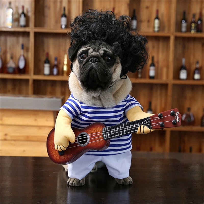 Dog Costume - Cowboy Rider