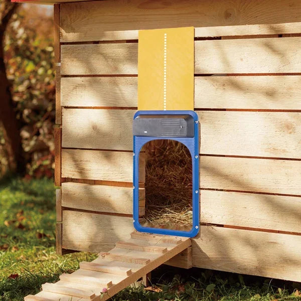 🎉LAST DAY 49% OFF🎉 --Automatic Chicken Coop Door