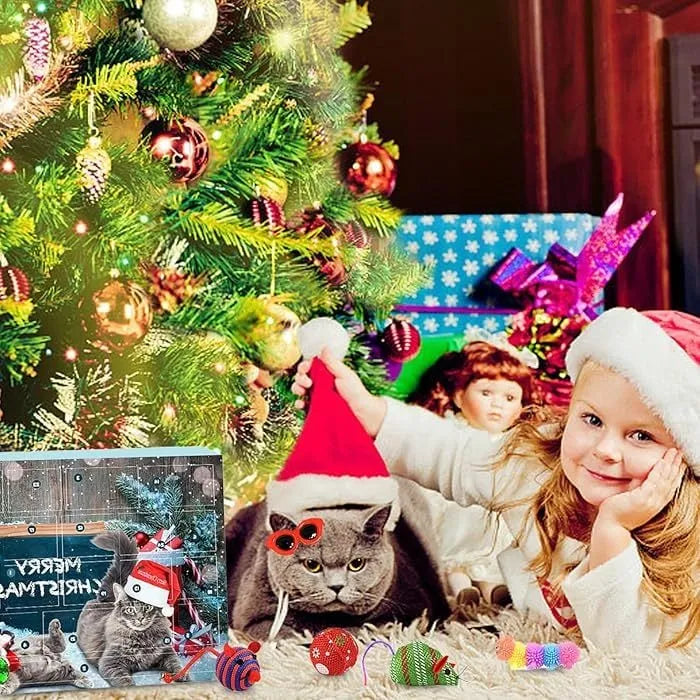 š„Last 48 hours 57% OFF - š±2024 Christmas Countdown Pet Toys Advent Calendar