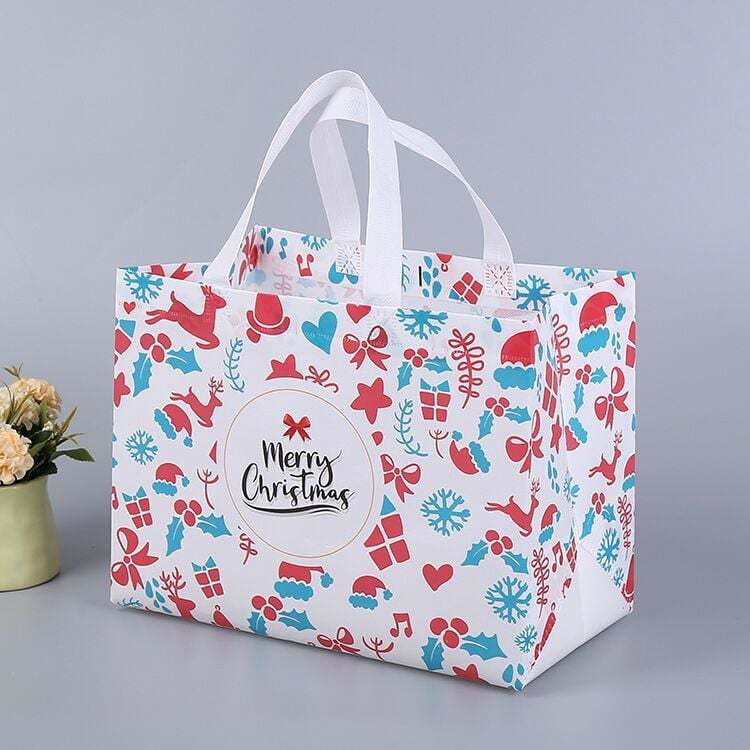 2025 Christmas Gift Bags