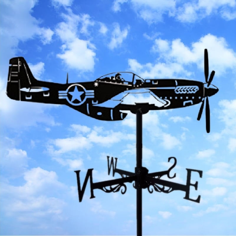 🏠Stainless Steel Weathervane