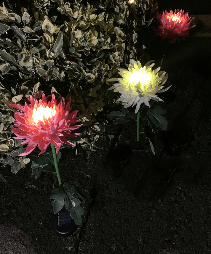 29.5" Chrysanthemum Solar Garden Stake LED