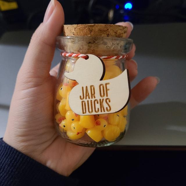 🦆Duck Jar - Give A Duck🖕🏻