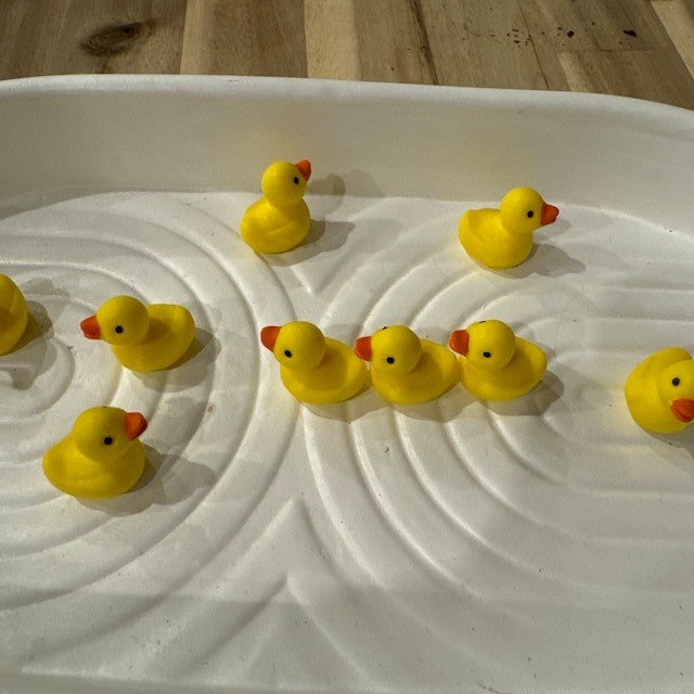 🦆Duck Jar - Give A Duck🖕🏻