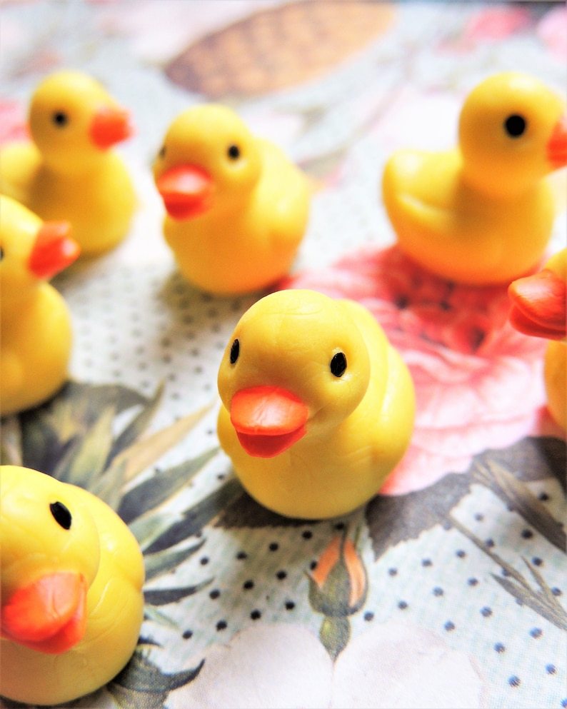 🦆Duck Jar - Give A Duck🖕🏻