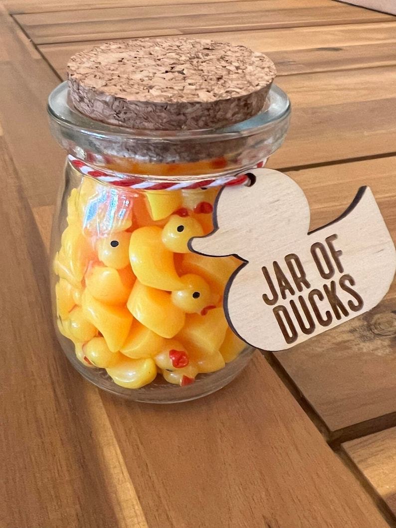 🦆Duck Jar - Give A Duck🖕🏻