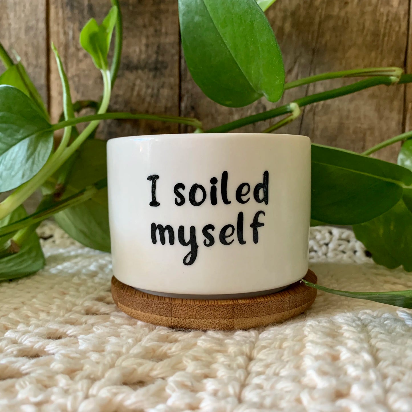 Funny unique succulent pots
