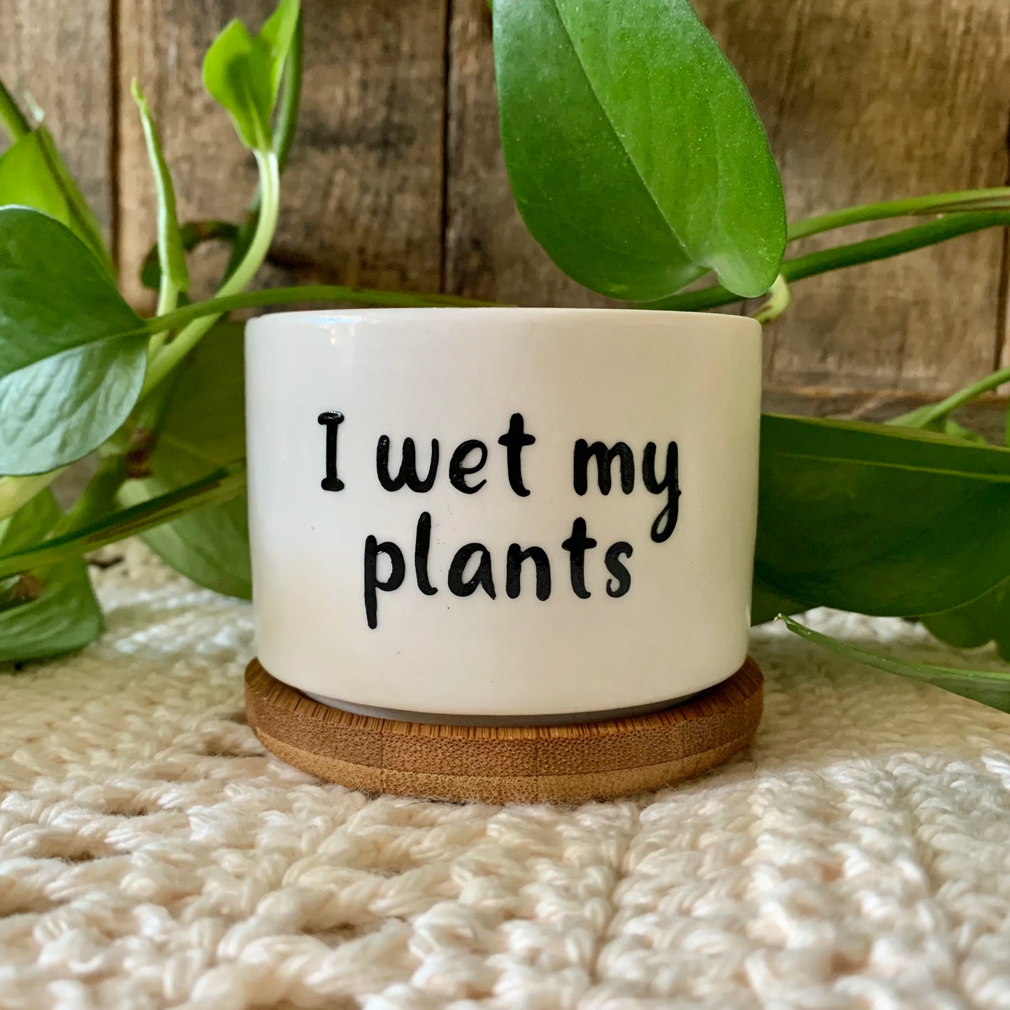 Funny unique succulent pots
