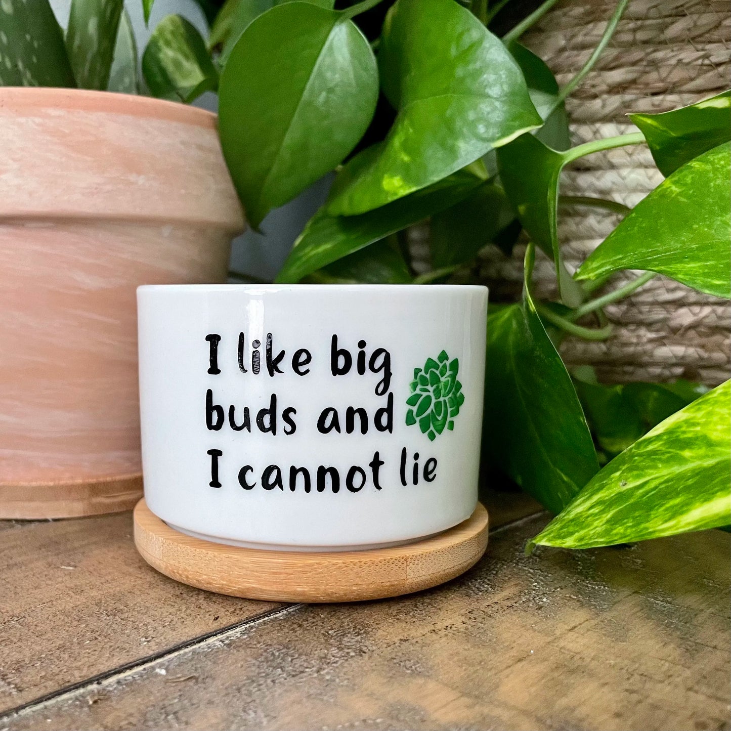 Funny unique succulent pots