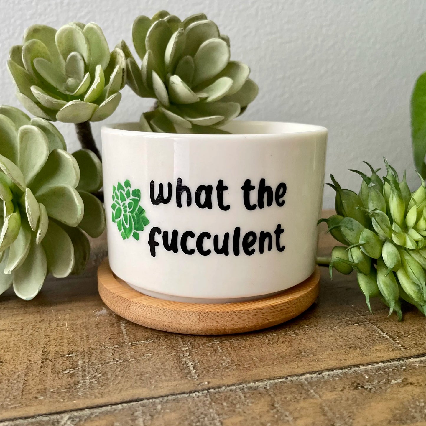 Funny unique succulent pots