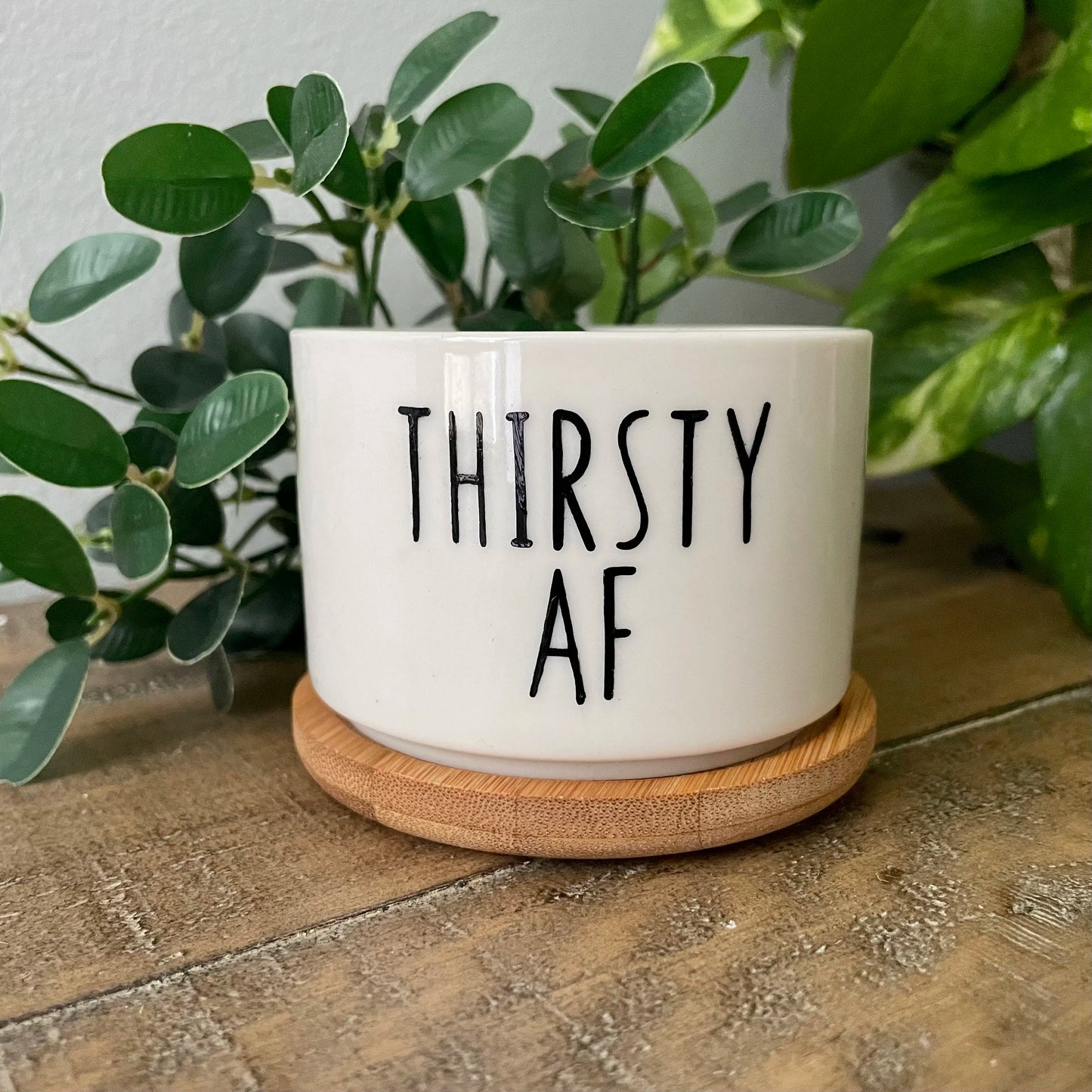Funny unique succulent pots