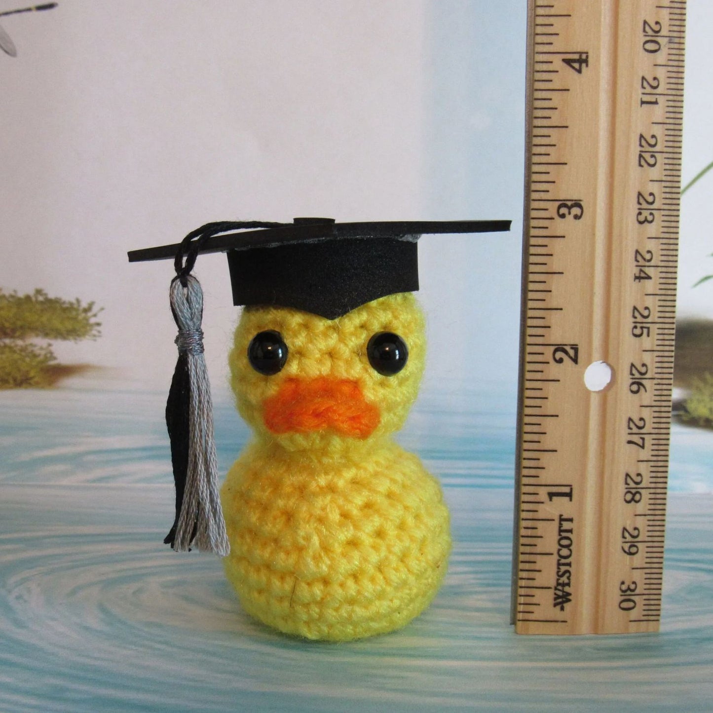 Graduation Duck