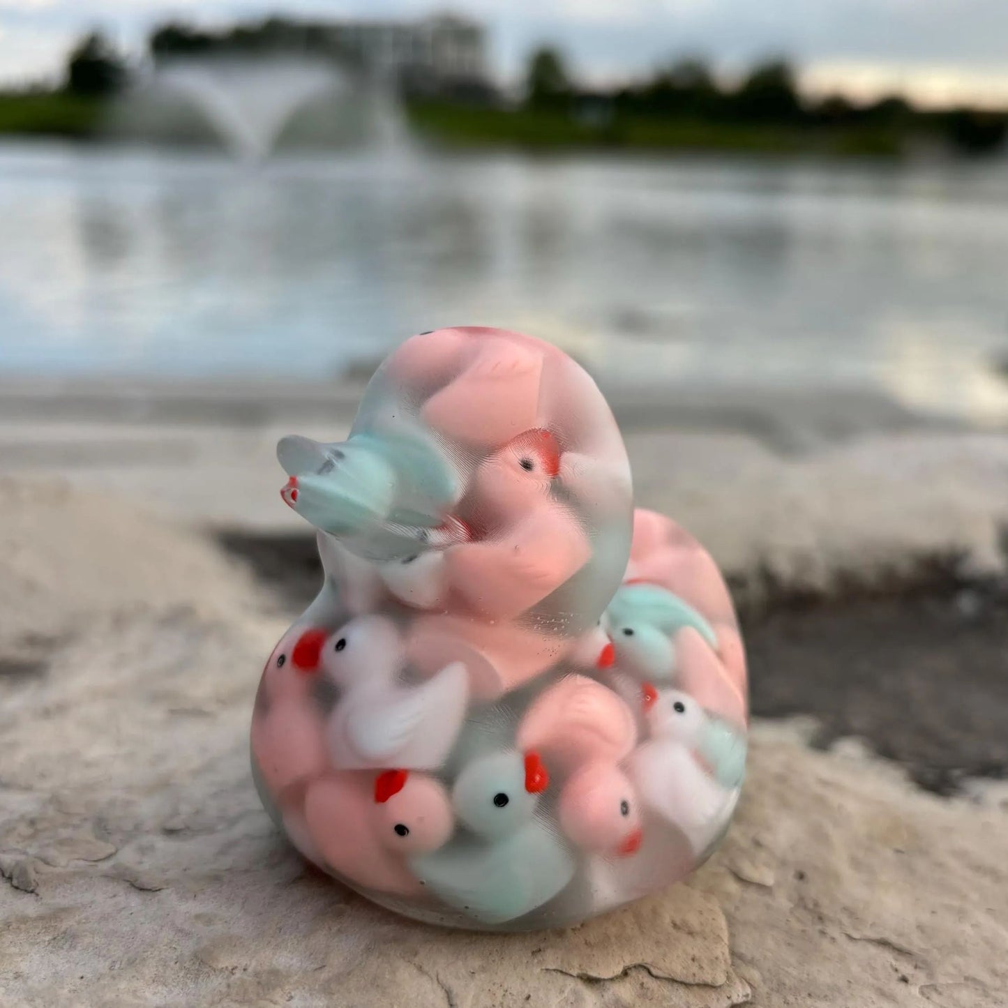 Duck of Ducks