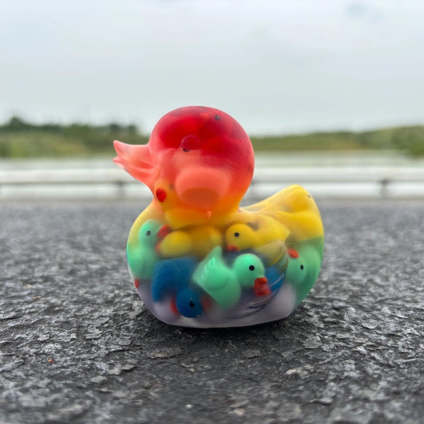 Duck of Ducks