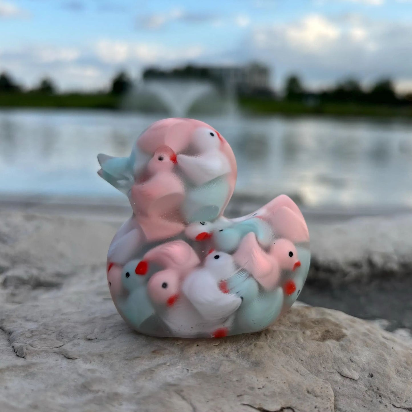 Duck of Ducks