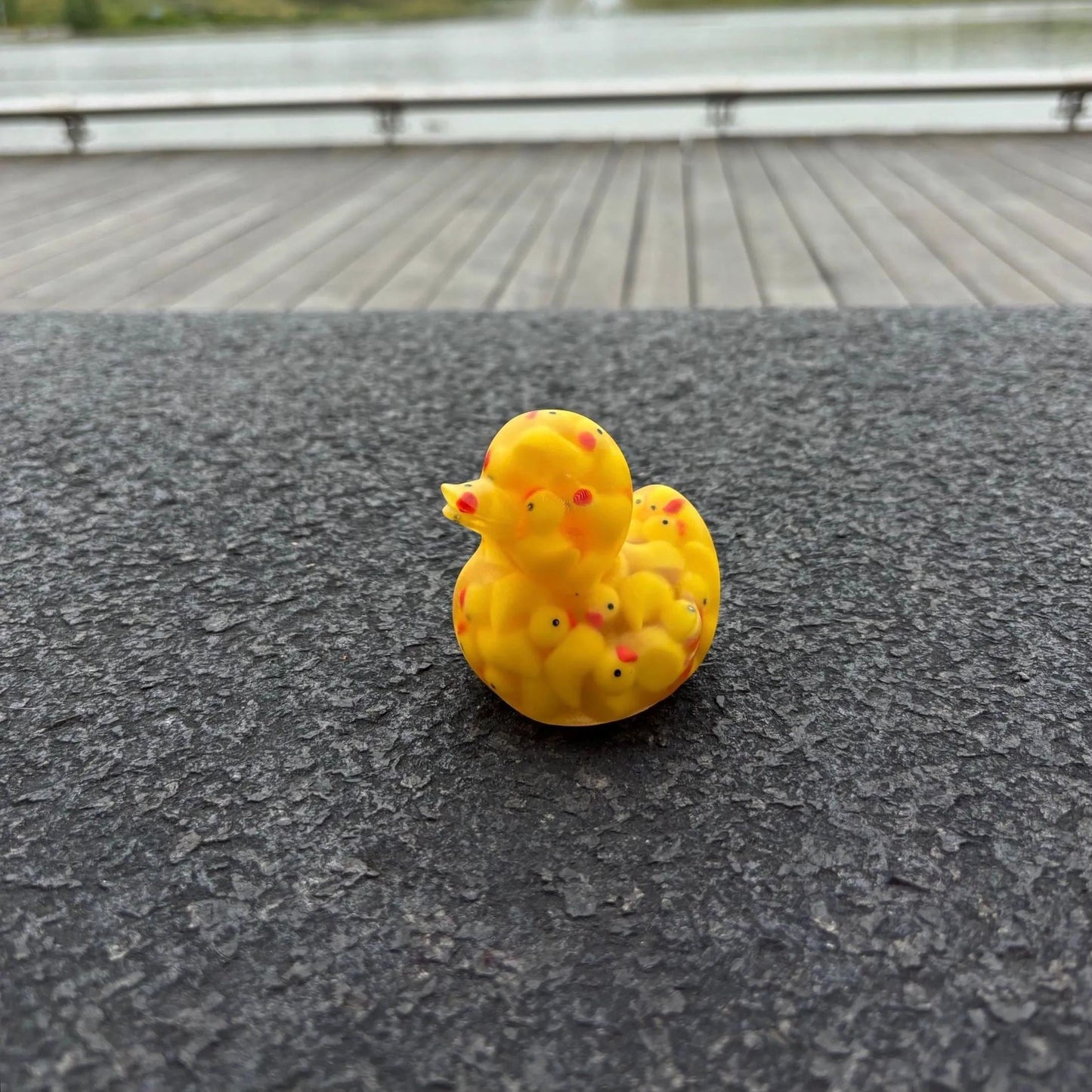 Duck of Ducks