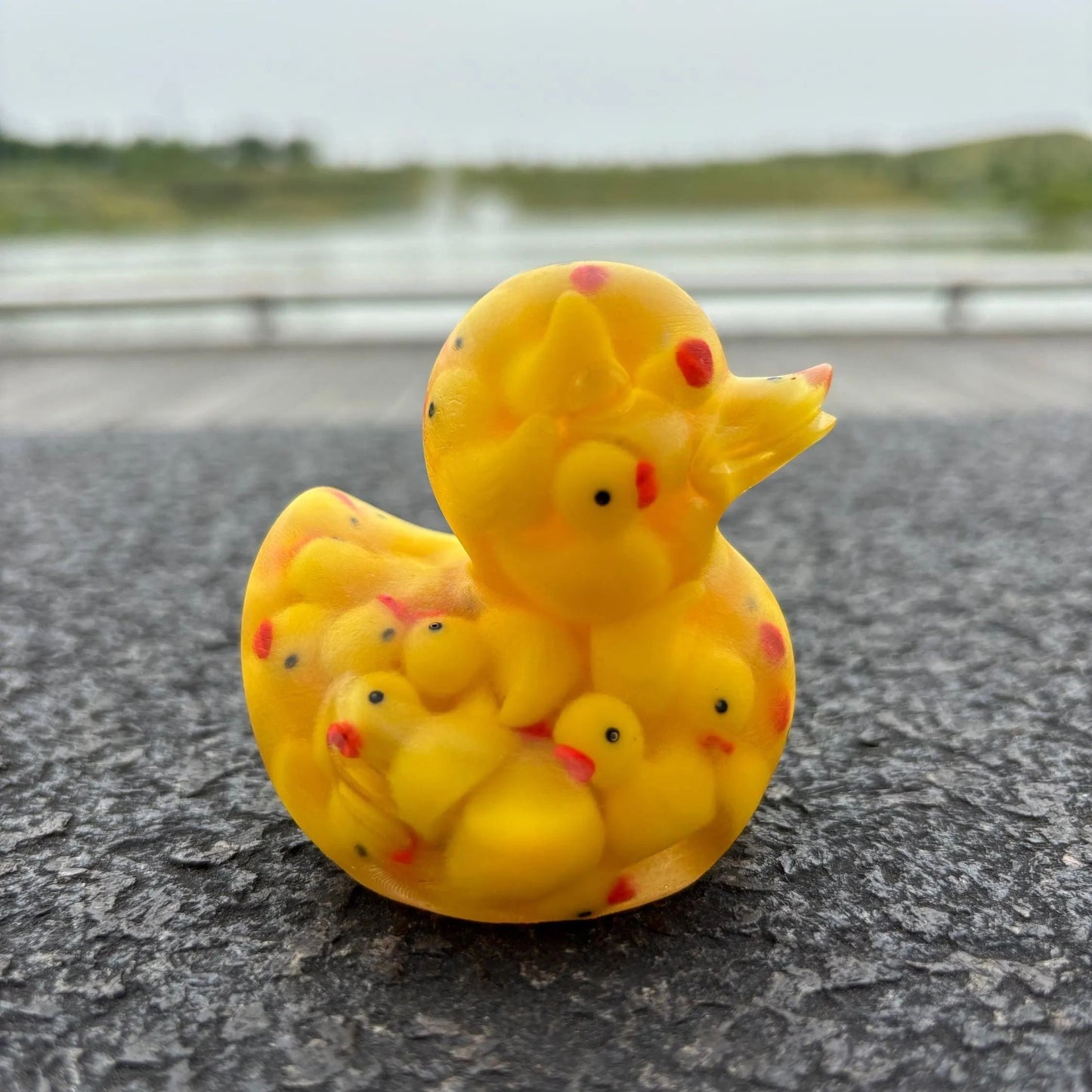 Duck of Ducks