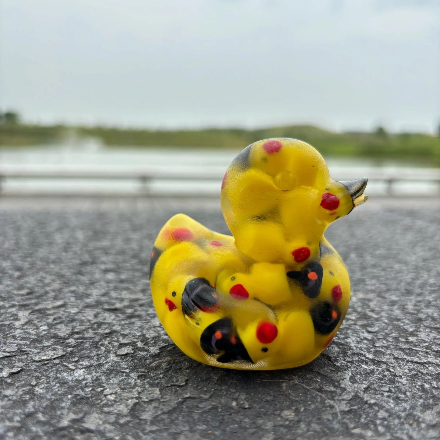 Duck of Ducks