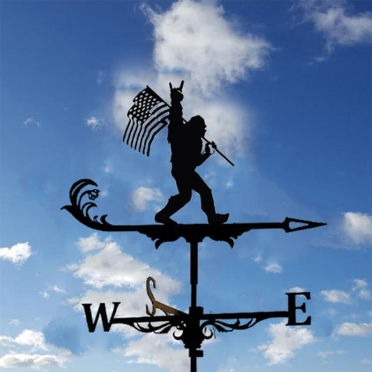🏠Stainless Steel Weathervane