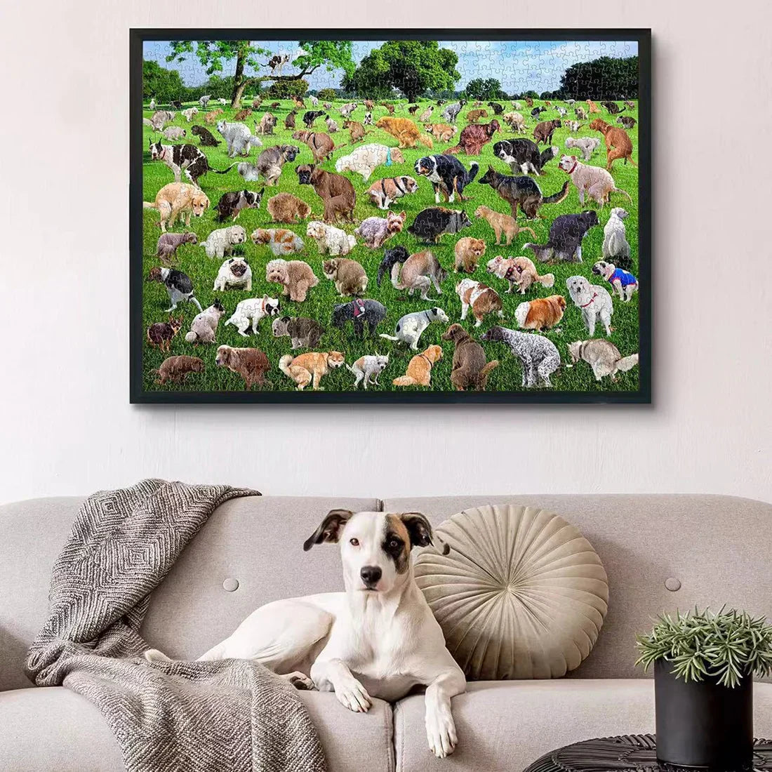 🐶🐾Pooping Dog Jigsaw Puzzle 1000 Piece