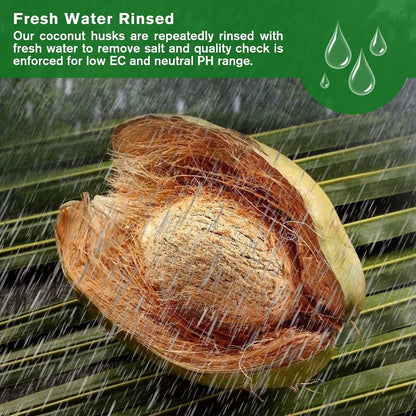 Spring Hot Sale 49% OFF✨ - Premium Organic Coconut Coir Bricks for Plants