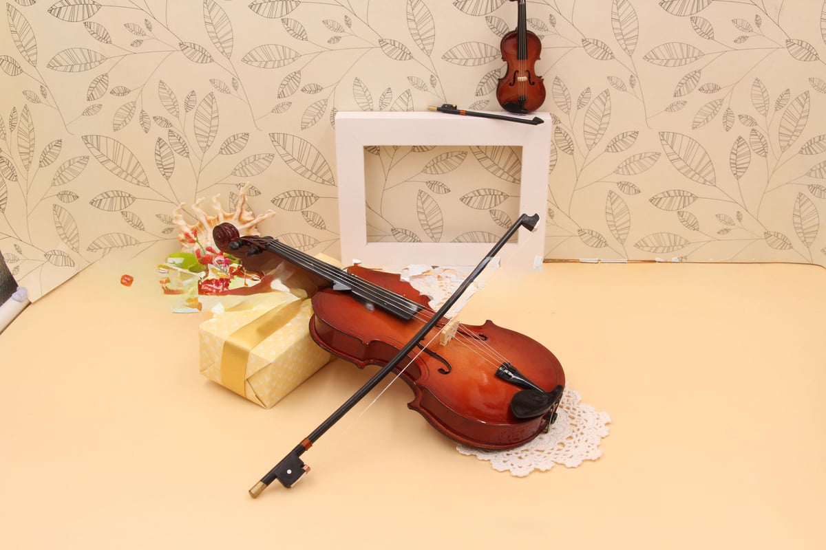 🔥Tiny Violin with Gift Box
