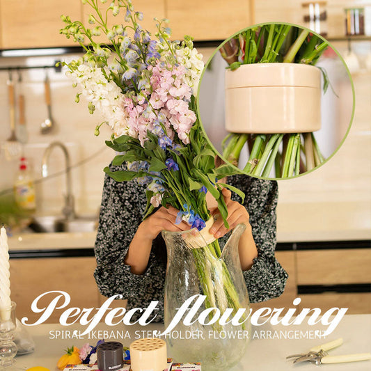 🔥HOT SALE -49%OFF 💡Spiral Ikebana Stem Holder💐
