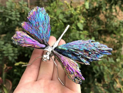💥AURA TOURMALINE KYANITE DRAGONFLY💥🔥BIG SALE - 49% OFF🔥