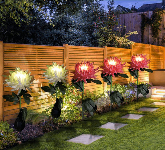 29.5" Chrysanthemum Solar Garden Stake LED