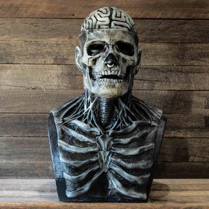 🎁Horrible Skeleton Bioman