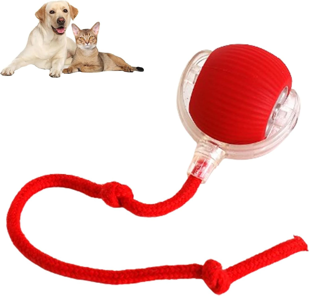 RolliePet smart chase pet toy ball