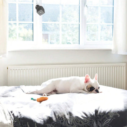 Wireless WIFI Camera