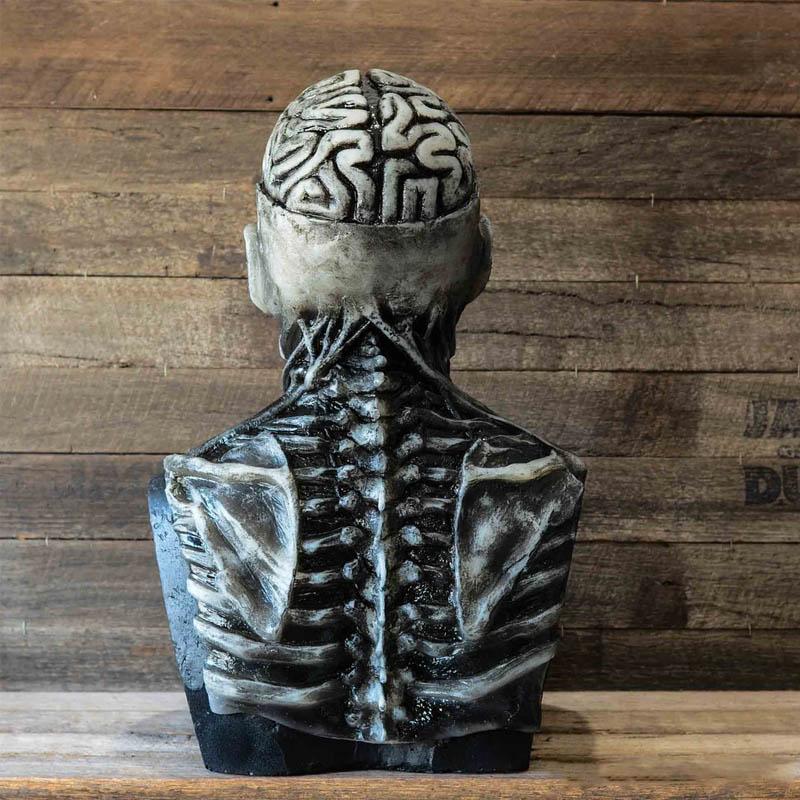 🎁Horrible Skeleton Bioman