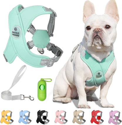 Reflective Mesh Pet Harness with Leash – No-Choke Design for Dogs