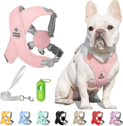 Reflective Mesh Pet Harness with Leash – No-Choke Design for Dogs