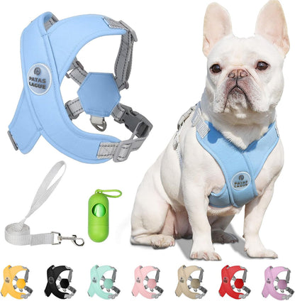 Reflective Mesh Pet Harness with Leash – No-Choke Design for Dogs