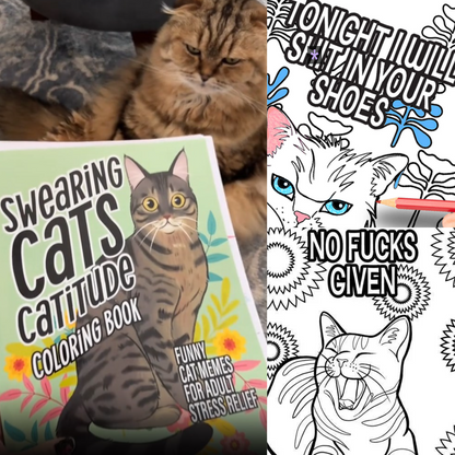 🐱Funny Kitty Memes Coloring Book For Adult Relaxation