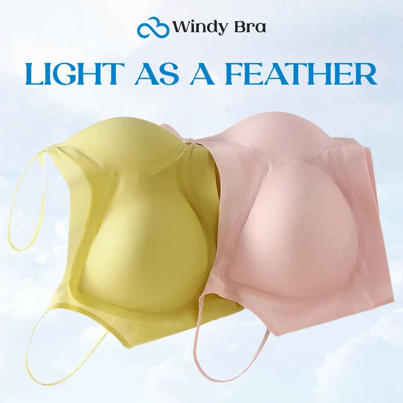 WindyBra - Summer ultra-thin plus size ice silk comfort bra