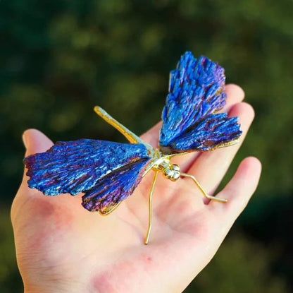 💥AURA TOURMALINE KYANITE DRAGONFLY💥🔥BIG SALE - 49% OFF🔥