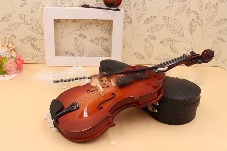 🔥Tiny Violin with Gift Box