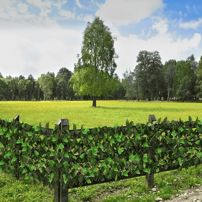 🔥LAST DAY 75% OFF - 🎁Expandable privacy fence