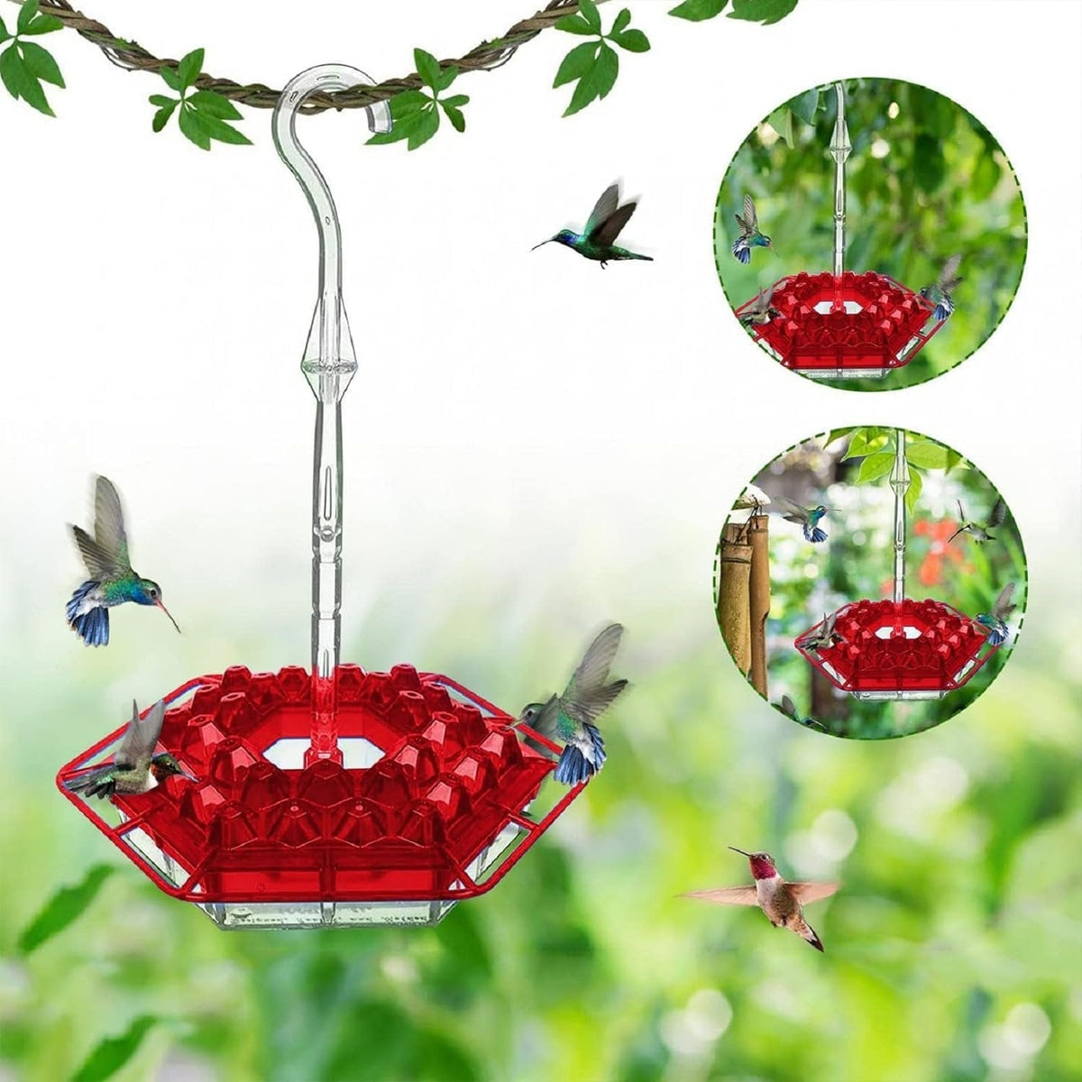 ✨Hummingbird Feeders for Outdoors Hanging