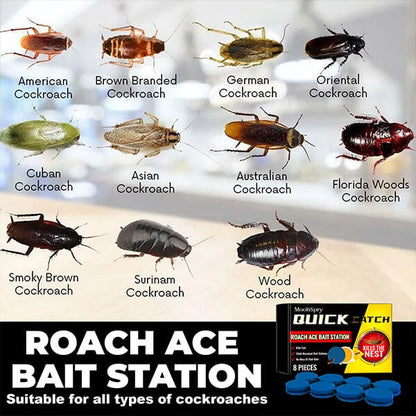 LAST DAY 75% OFF🔥 - Roach Ace Bait Station