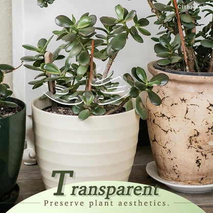 Cithway Invisible Plant Pro Stem Support