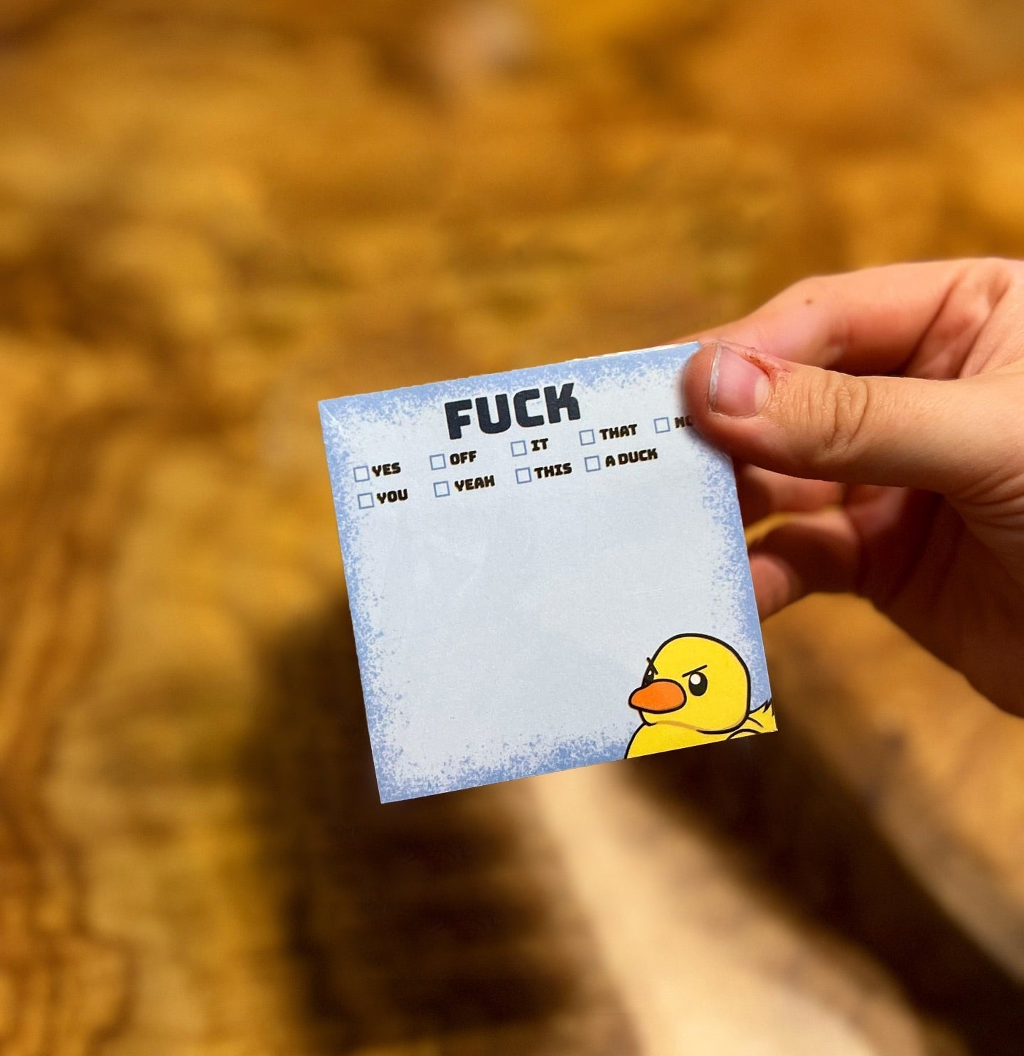 🤣Funny Sassy Duck Sticky Notes🎁