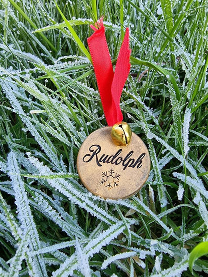 🎅Santa's Lost Button and 🦌Rudolph's lost name tag