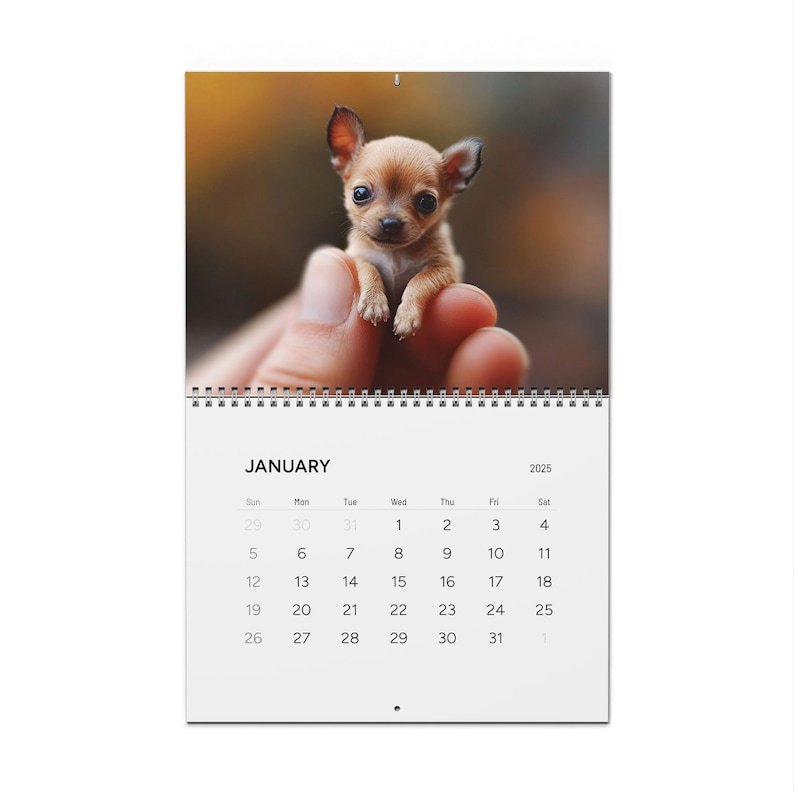 Tiny Animals Calendar 2025
