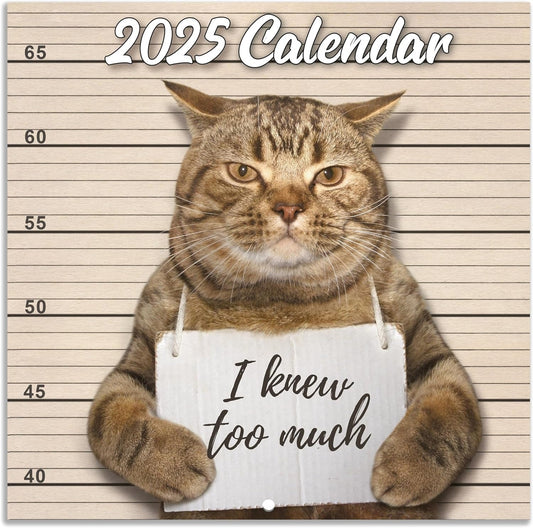 🐱Funny Cat Calendar 2025📅