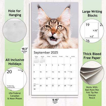 2025 P*ssed off P*ssies Angry Cats Calendar