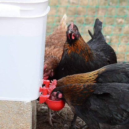 🔥🔥Last Day 50% OFF--🔥Automatic Chicken Water Cup Bird Coop